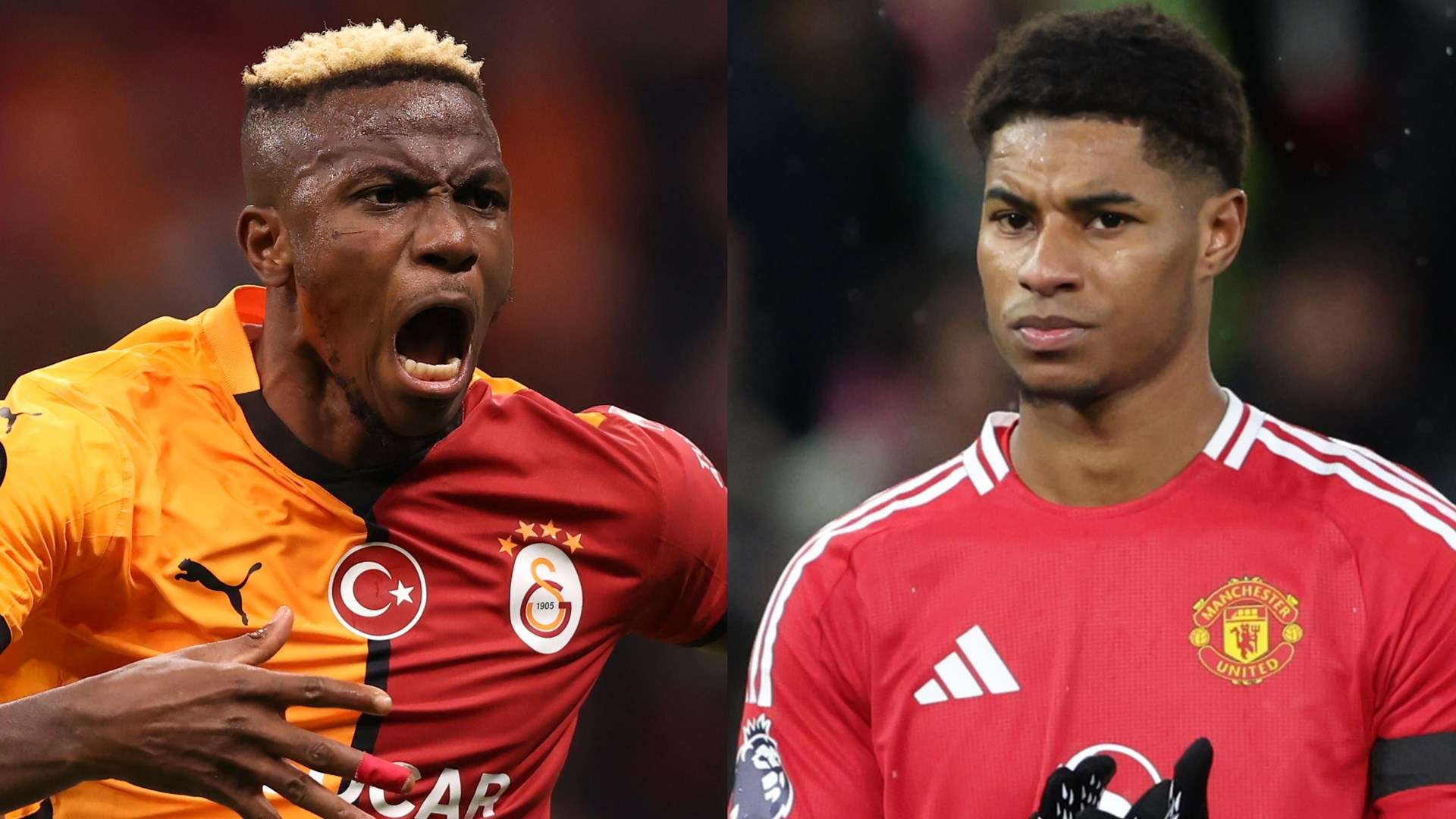 正是为了打 正是为了打