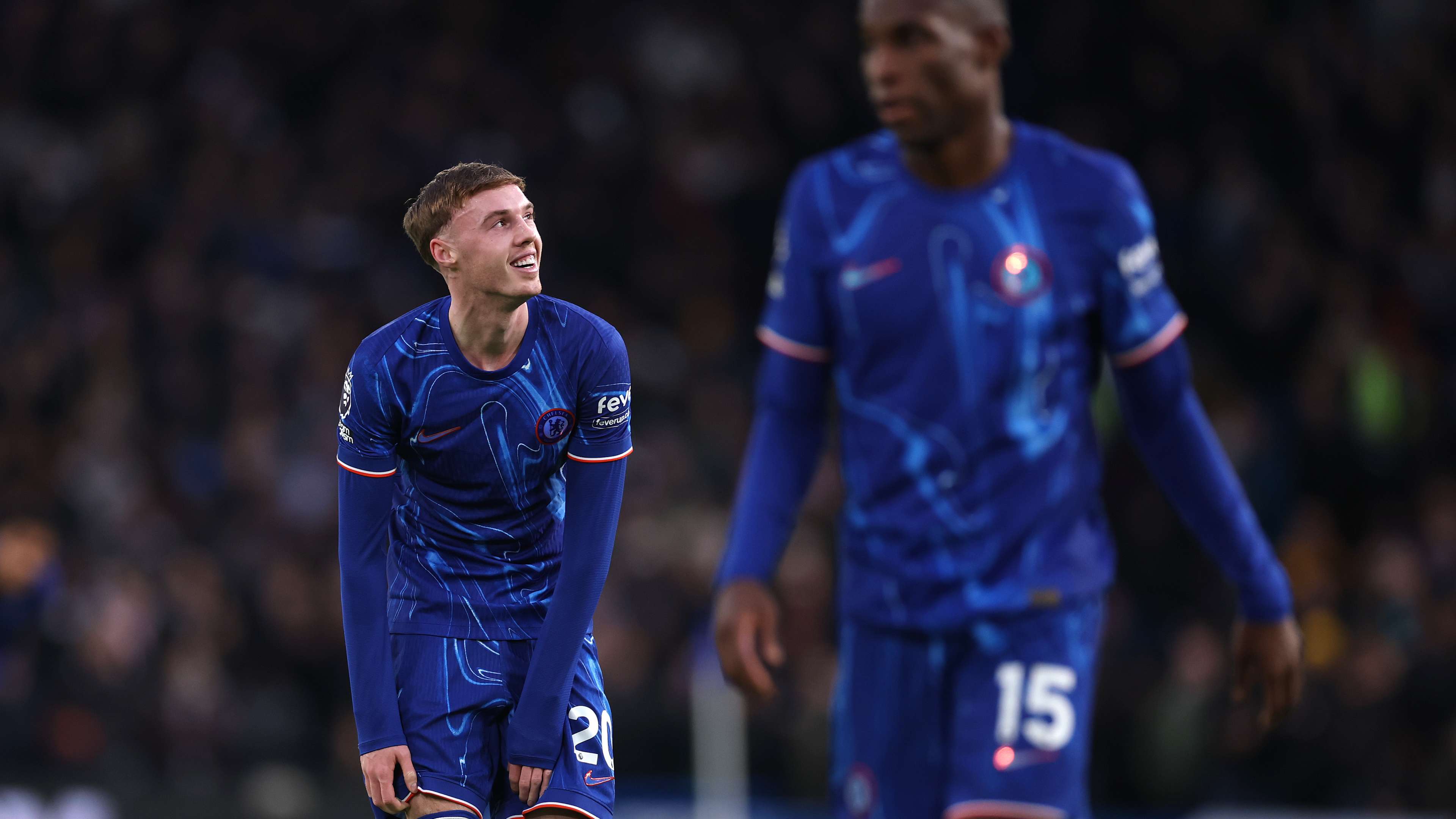 更是锦上添 更是锦上添